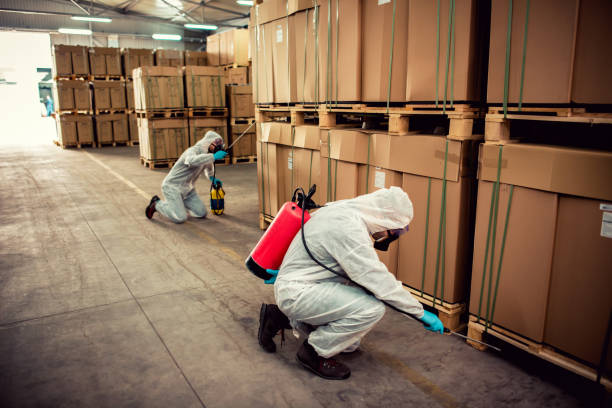 Best Pest Prevention Services  in Auburn, GA