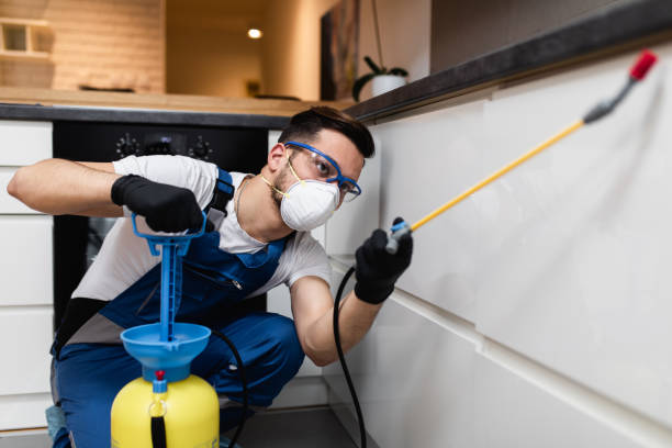Best Best Pest Control Companies  in Auburn, GA