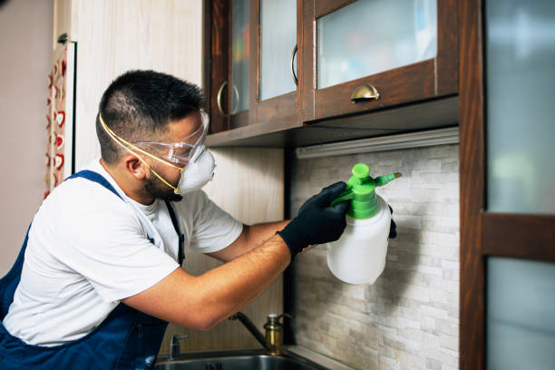 Best Exterminator Services  in Auburn, GA