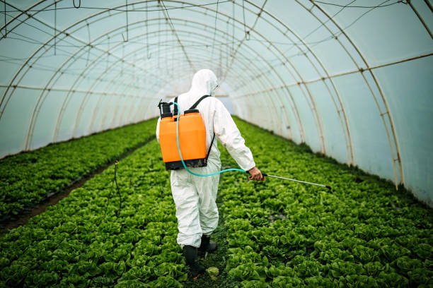 Best Local Pest Control Services  in Auburn, GA