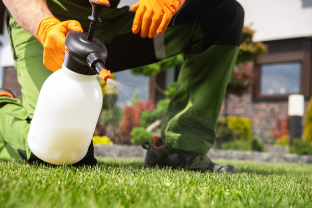 Best Residential Pest Control  in Auburn, GA