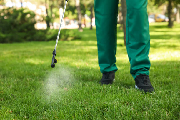 Trusted Auburn, GA Pest Control Experts