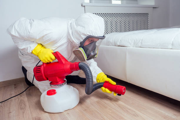 Best Affordable Pest Control Services  in Auburn, GA
