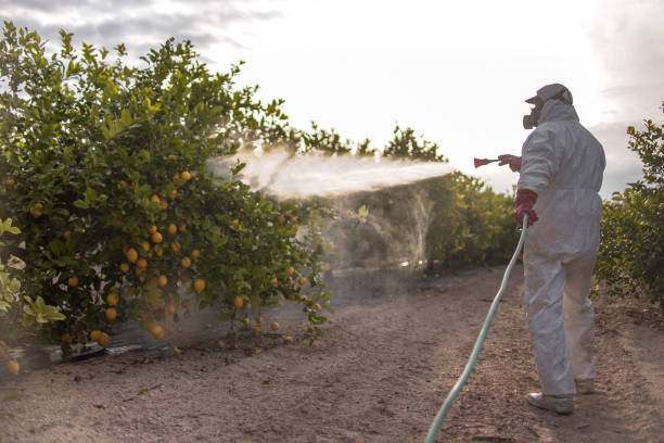 Best Wildlife Control Services  in Auburn, GA