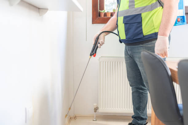 Best Flea Control Services  in Auburn, GA