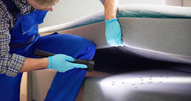 Best Ant Control Services  in Auburn, GA