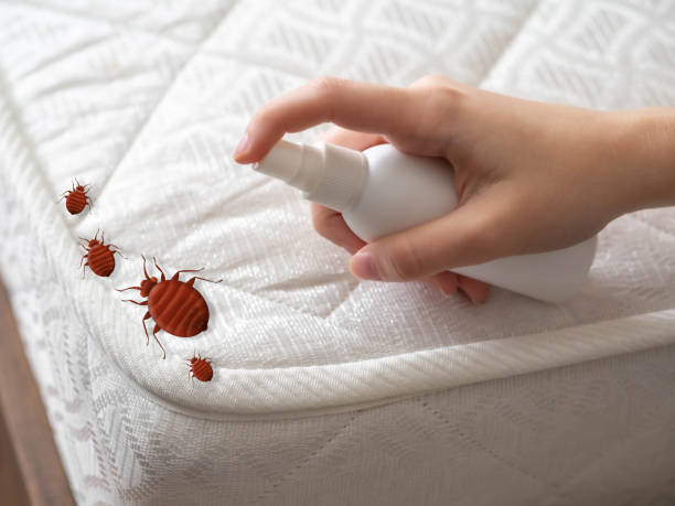 Best Pest Inspection Near Me  in Auburn, GA